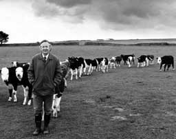 James Herriot with cows in Yorkshire